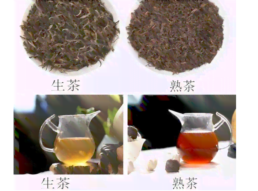 普洱茶生茶放几年喝比较好？如何判断普洱茶生茶是否变成熟茶？