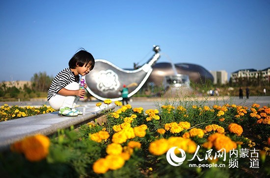 康巴什区概况：一个充满活力的城市新区