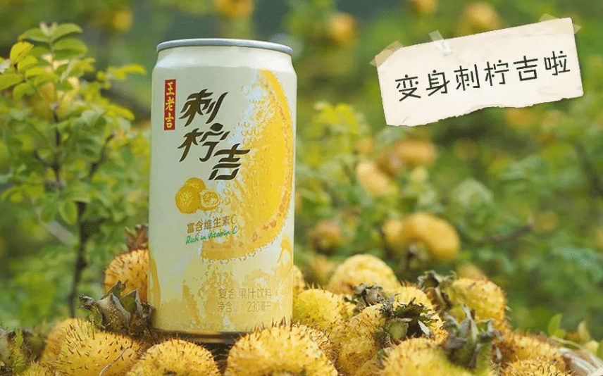 云南特产小叶苦丁茶的创新发酵工艺：一种新的健饮品探索