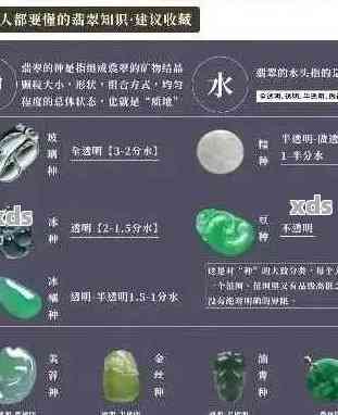 翡翠的一分水：全面了解翡翠品质评价标准及选购技巧