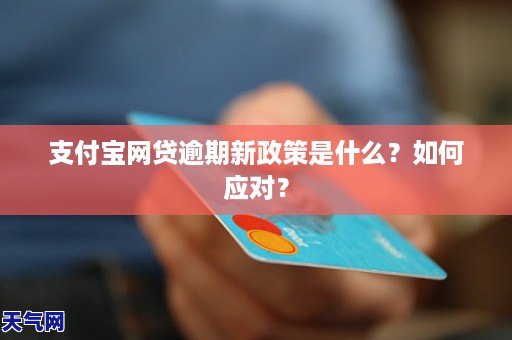 网贷逾期支付宝显示什么