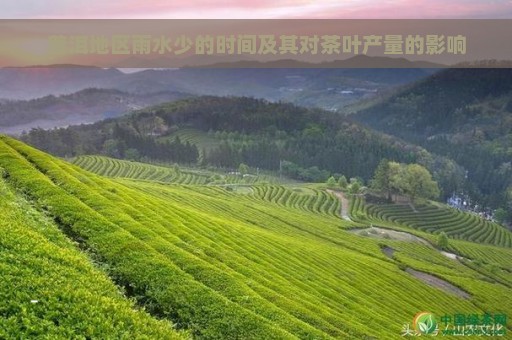 23年春普洱茶产区天气变化对茶叶品质的影响分析