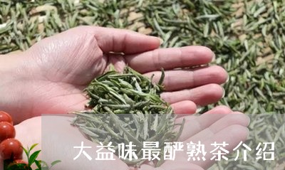 味最酽大益普洱茶