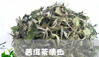 清血的茶叶有哪些