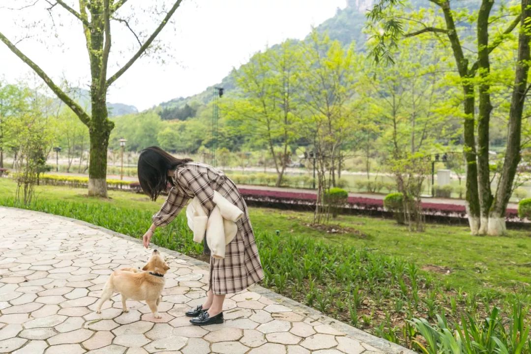 全面了解秘境一号普洱茶：品质、价格、口感等一应俱全