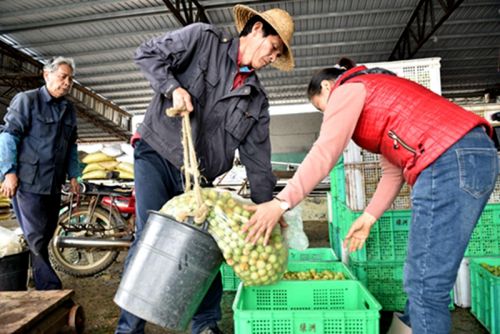 村镇银行可以协商还本金吗需要什么条件