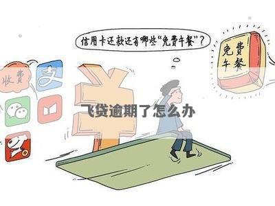 飞贷上借款后不还怎么办