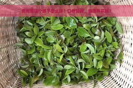 新 '贡苑牌茶叶的品质与口感，是否合您的口味？'