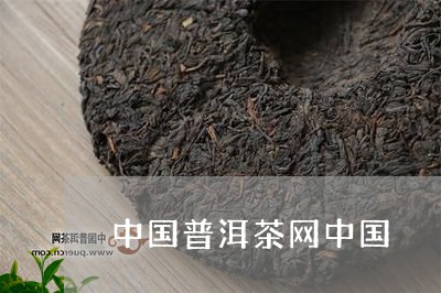 中国茶叶普洱茶官网网址查询-中国普洱茶官方网站—中国普洱网