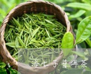 海七子普洱茶：品质、制作工艺与口感的全面解析与品鉴指南