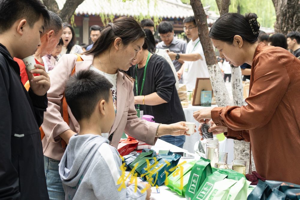 一杯清茶：如何品味、选择和冲泡，让你深入了解茶文化的精髓