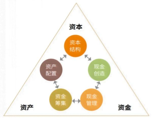 茶的六大类及其分类解析：全面了解茶叶的种类与特点