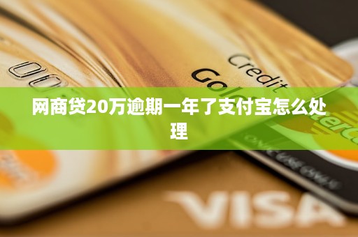 网商贷20万逾期一年了支付宝如何处理