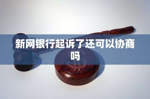 新网银行起诉我