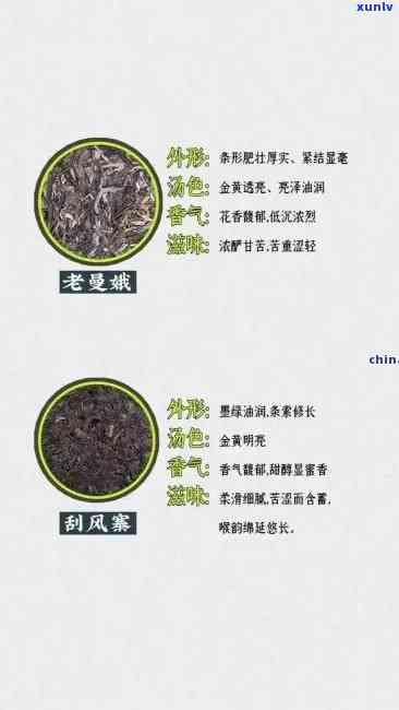 新 '冰岛特色茶种：普洱茶的生态种植与品鉴百科全书'