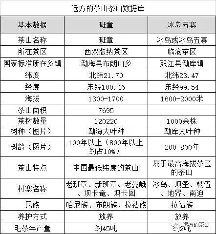 老班章、大班章和小班章：全面解析三种班章的异同及如何选择