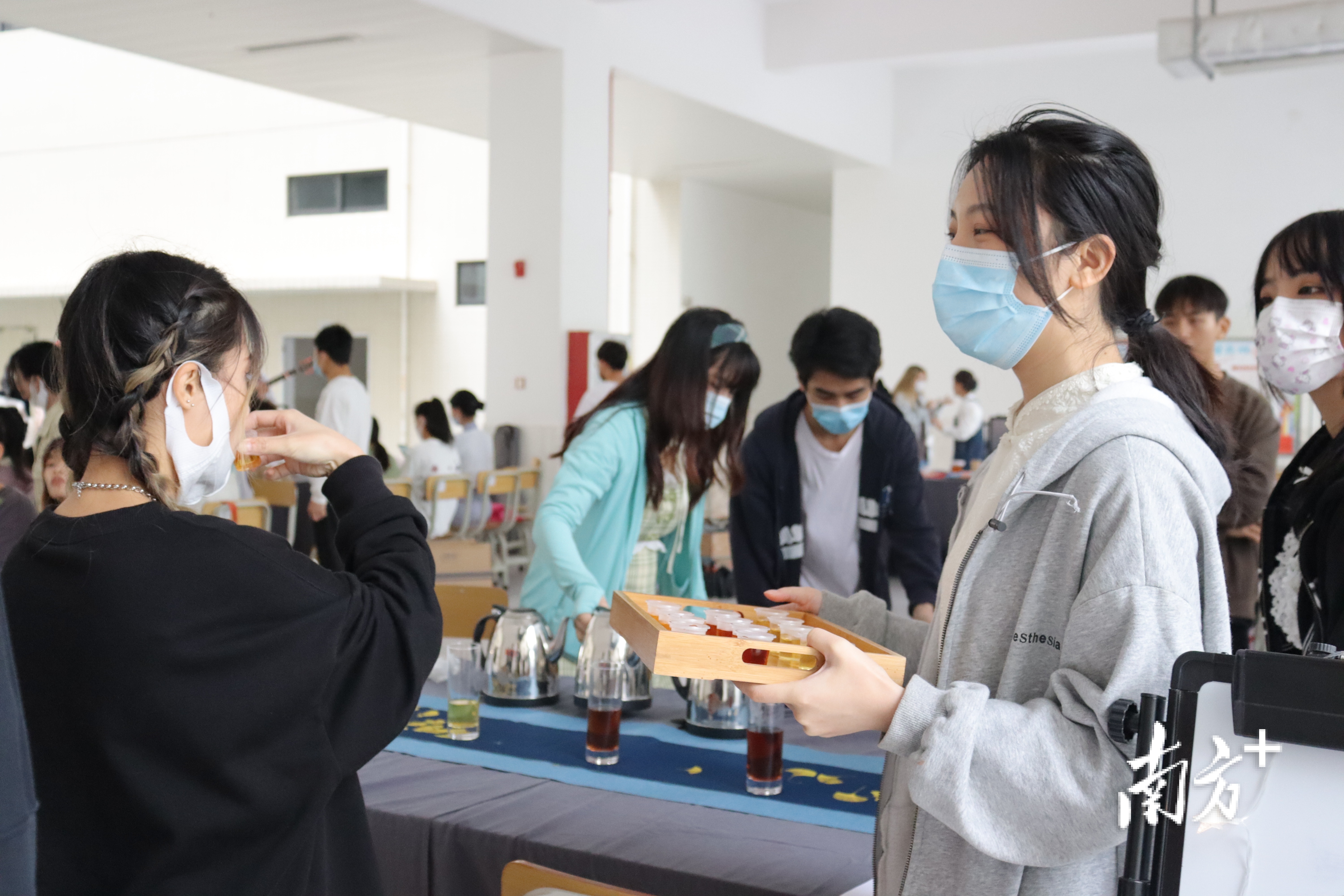 根据节与个人体质选择合适的茶叶：春日花茶的品鉴与推荐