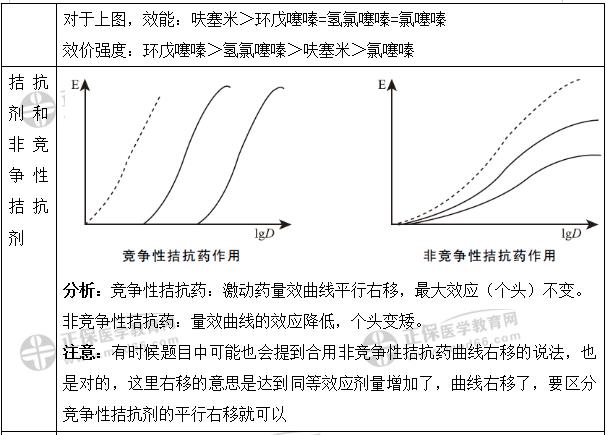 测量玉镯尺寸关键：掌握宽度与厚度的技巧