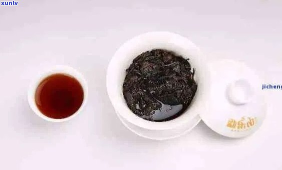 六年陈普洱茶的品饮与保存方法：能否继续饮用？