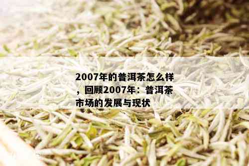 普洱茶：从思到更名的历与现状 - 2007年全面解析