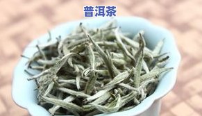 银针茶叶哪里产