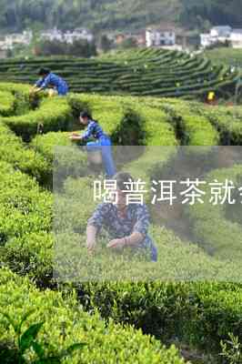 普洱茶怎么发酵最快最有效