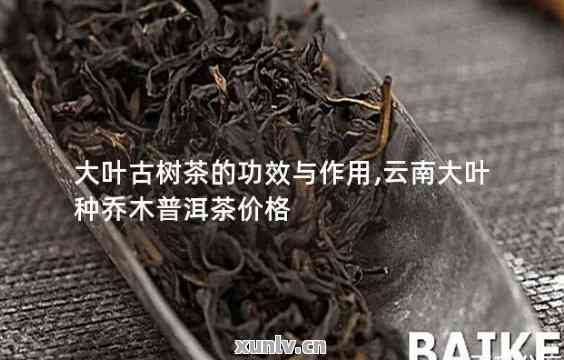 普洱茶铁观音价钱多少钱一斤