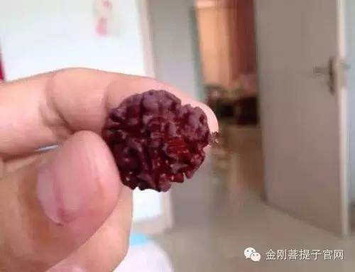 飘花菩提子是否染色？