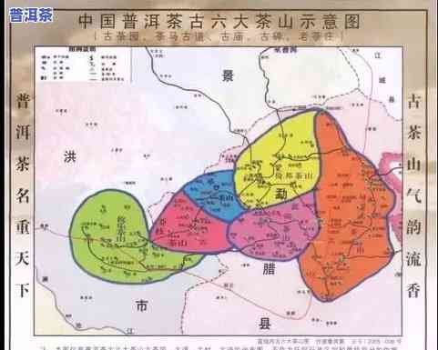 普洱茶片区特点概览：区别、特点与分布