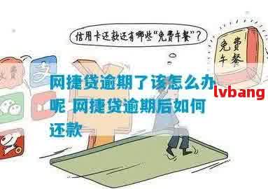 网贷信用贷逾期怎么办应该怎么处理