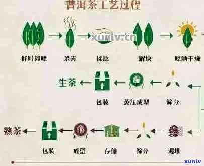 百花潭普洱茶等级区分