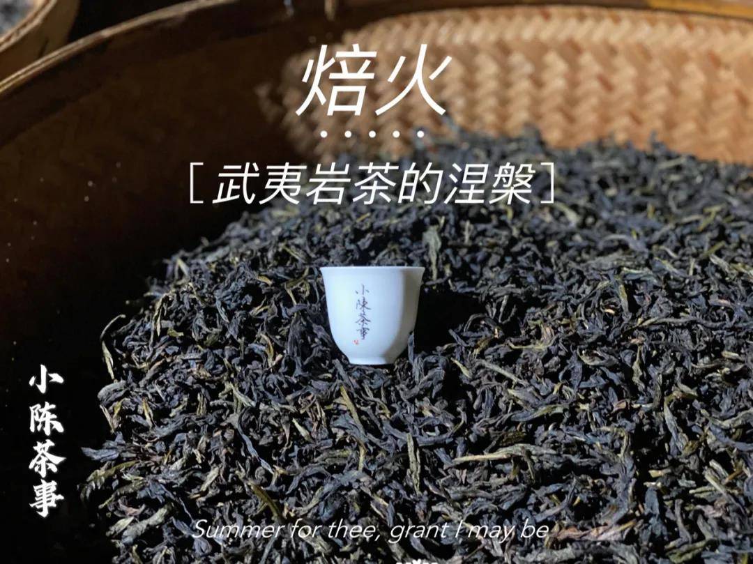 普洱茶中红色漂浮物的真相解析：正常现象还是品质问题？