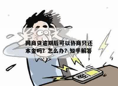 网商贷逾期协商一次性还本金怎么操作