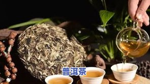 云南人为什么喝普洱茶？普洱茶的种类、功效与饮用方法一览无余