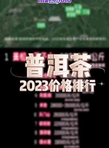 2023年权威普洱茶排行榜：品质、价格与口感的全方位解析