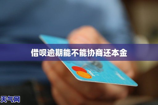 借呗可以协商只还本金不还利息吗