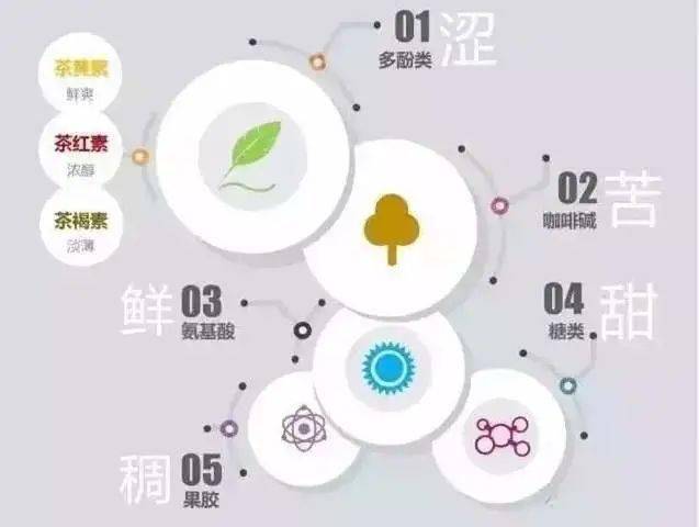 如何精确控制碎银子煮茶的用量？了解比例以获得口感