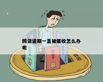 网贷逾期被怎么应对呢