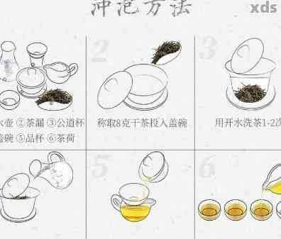 碗普洱茶冲泡方法：详细介绍步骤与时间