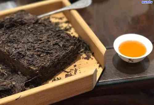 十年窖藏普洱茶：品鉴与评价，探究其品质与口感