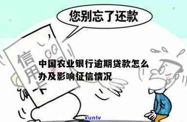 农业银行贷款逾期方法最新如何处理