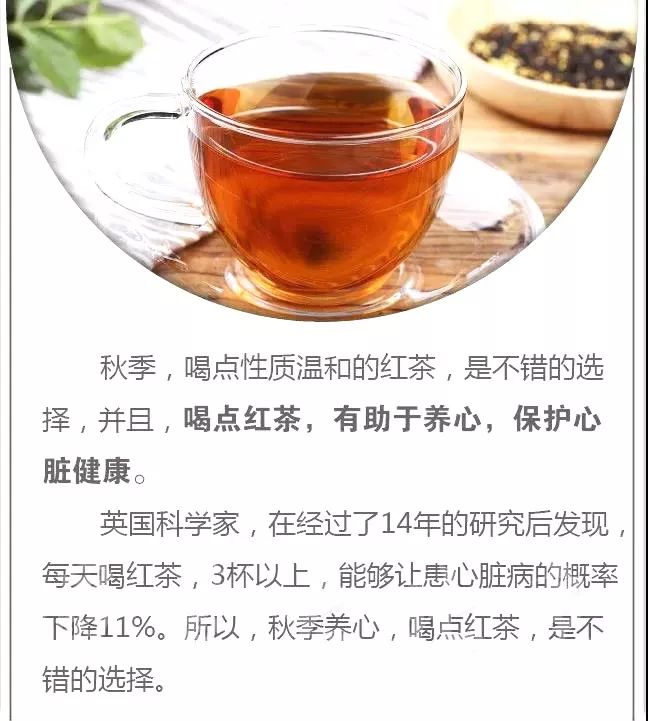 养肝补肾喝什么茶