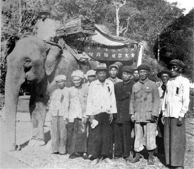 佛海茶厂勐海历年作品2003甲级：佛海茶厂更名为勐海茶厂的具体情况