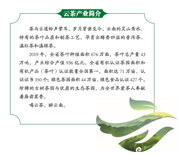 庆沣祥春古树老班章生茶