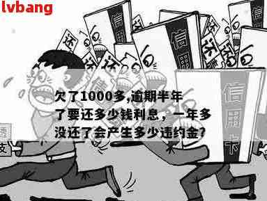 1000元小额贷款逾期怎么办