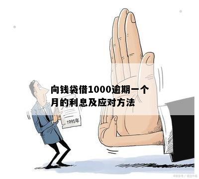 1000元小额贷款逾期怎么办