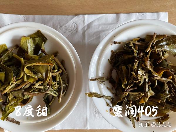 普洱茶老叶片甜度合适：多少度的甜度最适宜品尝？