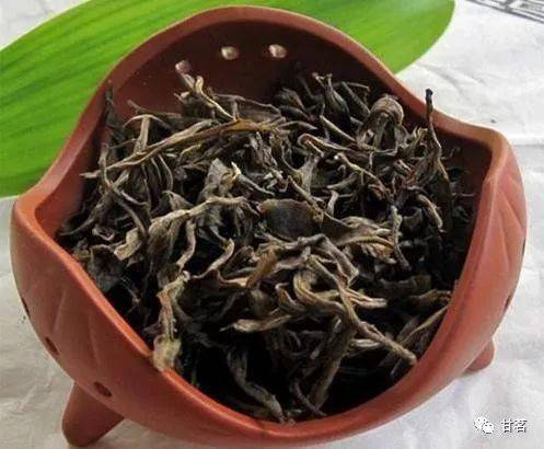 存放十几年的普洱茶能喝吗？放了十几年的普洱茶还能喝吗？