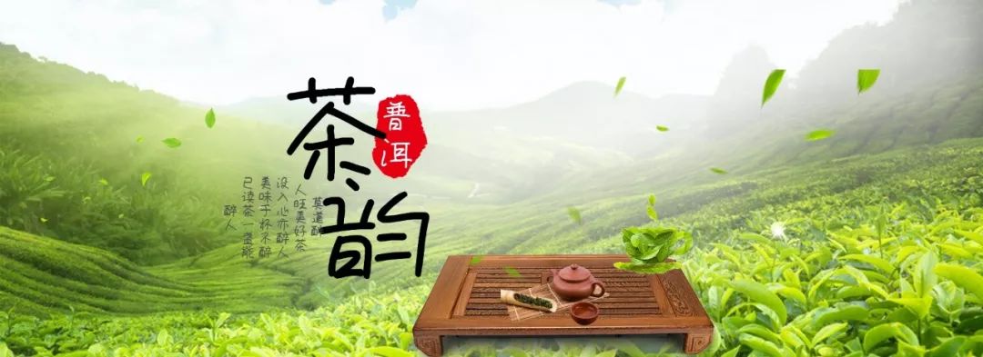 生普洱茶的茶味