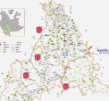 云南普洱茶产区的三大区域及其特点探讨